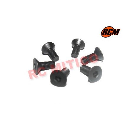 EPC069 - Tornillo cabeza conica 3x8 mm - 6 uds.