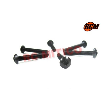 EPC076 - Tornillo cabeza boton 4x26 mm - 6 uds.