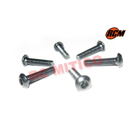 EPC080 - Tornillo cabeza boton 3x14 mm - 6 uds.