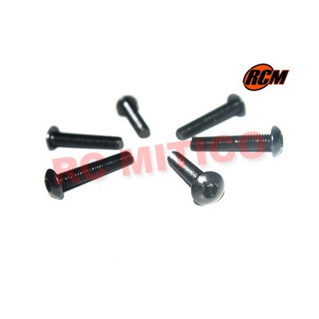 EPC081 - Tornillo cabeza boton 3x16 mm - 6 uds.