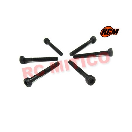 EPC085 - Tornillo cabeza cap 3x24 mm - 6 uds.