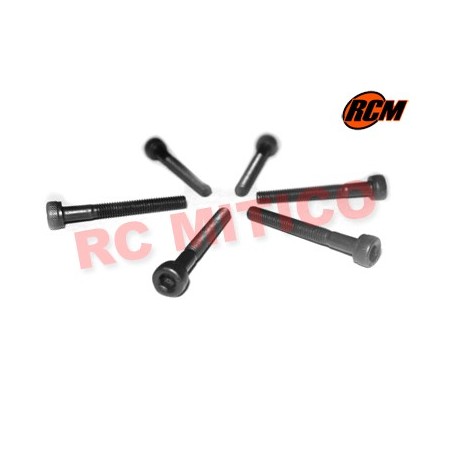 EPC086 - Tornillo cabeza cap 3x26 mm - 6 uds.