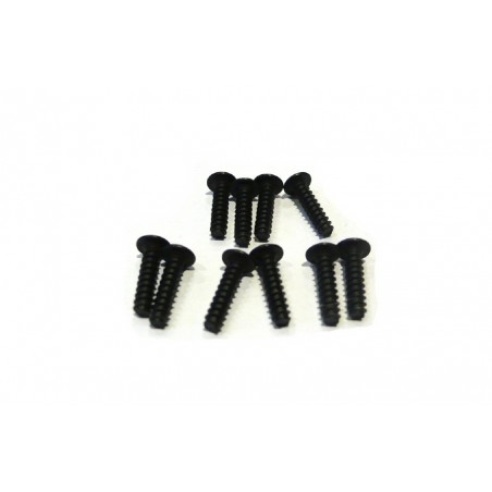 6076 - Tornillos M3x12 mm x10 uds.