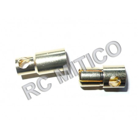 Conector Banana Gold 5.5 mm - Pareja