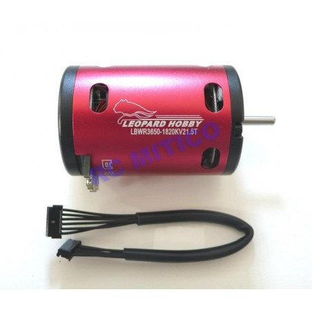 Motor Brushless CON SENSORES  3650/21.5T - 1820 KV