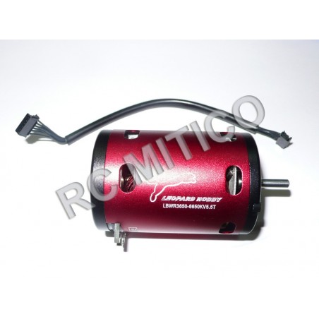 Motor Brushless CON SENSORES  3650/5.5T - 6650 KV