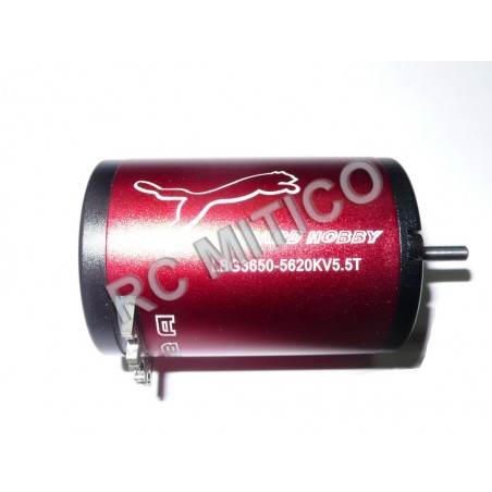 Motor Brushless Leopard - 3650/5.5T - 5620 KV