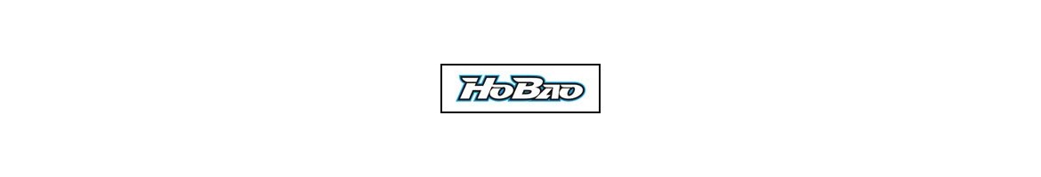 Coches RC HoBao