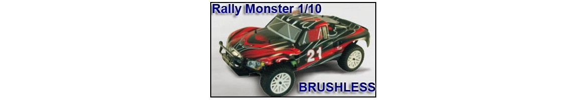 Repuestos Rally Monster 1/10 Brushless